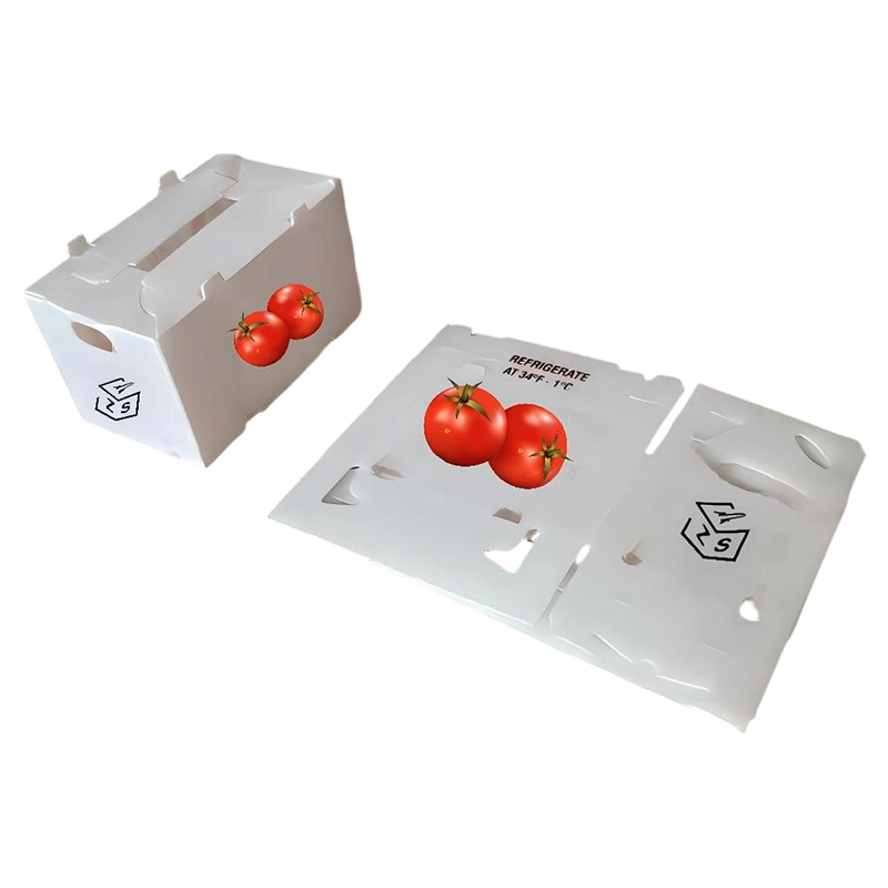 換気されたカスタム印刷された PP 波形プラスチック果物と野菜の箱